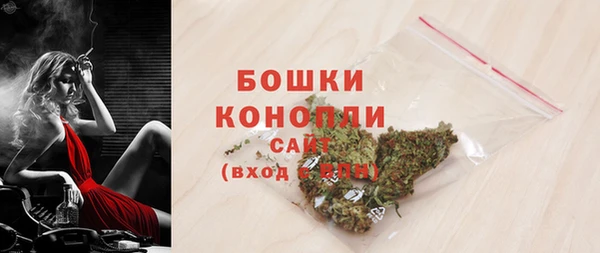 первитин Няндома