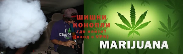 гашик Осинники