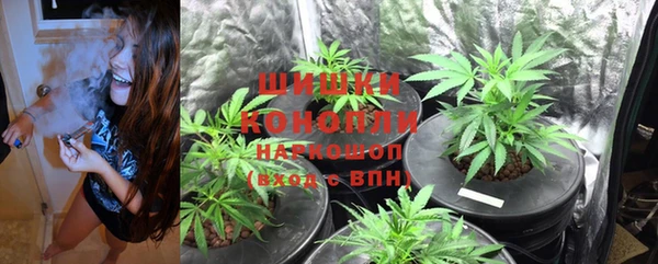 твердый Осташков