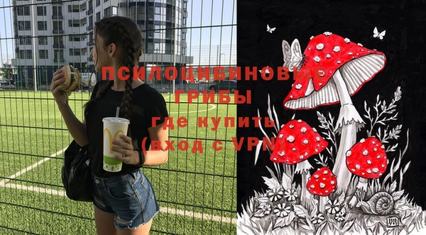 твердый Осташков