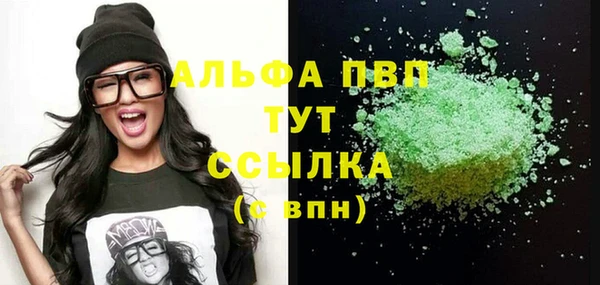 гашик Осинники